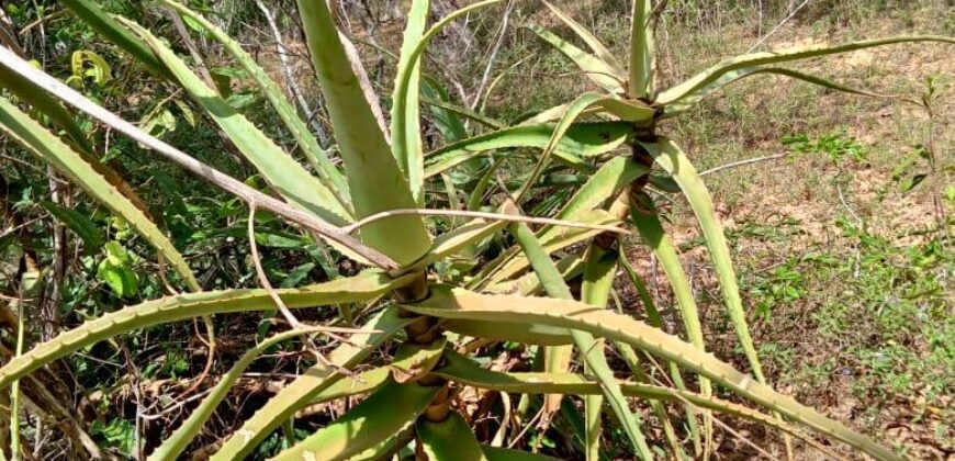 Malindi Kilifi county 5000 acres for sale