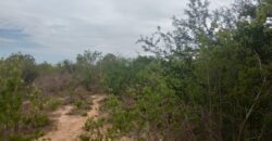 Malindi Kilifi county 5000 acres for sale