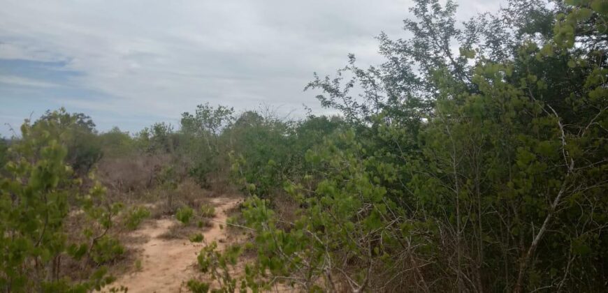 Malindi Kilifi county 5000 acres for sale