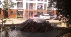 APARTMENTS FOR RENT