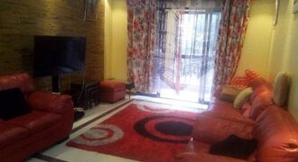APARTMENTS FOR SHORT/LONGTERM LEASE