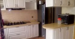 APARTMENTS FOR SHORT/LONGTERM LEASE