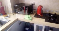 APARTMENTS FOR SHORT/LONGTERM LEASE