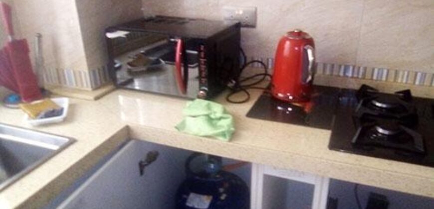 APARTMENTS FOR SHORT/LONGTERM LEASE