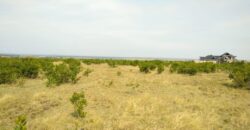 Nanyuki Waterfront 1