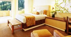 luxurious 3 bedroom house